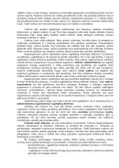 Administravimo etika 7 puslapis