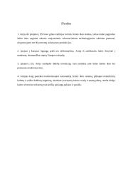 Airijos ekonominiai pokyčiai, įstojus į Europos Sąjungą (ES) 8 puslapis