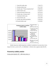 Akademinės kredito unijos finansinė analizė 13 puslapis