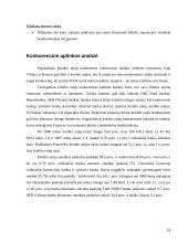 Akademinės kredito unijos finansinė analizė 17 puslapis