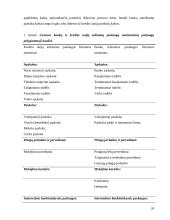 Akademinės kredito unijos finansinė analizė 19 puslapis