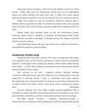 Akademinės kredito unijos finansinė analizė 7 puslapis
