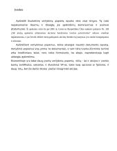 Akcijų rūšys 2 puslapis