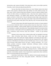 Akcijos ir obligacijos, bei jų rinkos 16 puslapis