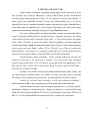 Akcijos ir obligacijos, bei jų rinkos 17 puslapis