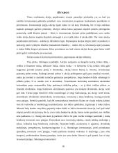 Akcijos ir obligacijos, bei jų rinkos 18 puslapis