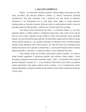 Akcijos ir obligacijos, bei jų rinkos 3 puslapis