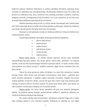 Akcijos ir obligacijos, bei jų rinkos 5 puslapis