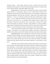 Akcijos ir obligacijos, bei jų rinkos 6 puslapis