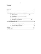 Akcijų rinka ir jų indeksai 2 puslapis