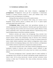 Akcijų rinka ir jų indeksai 7 puslapis