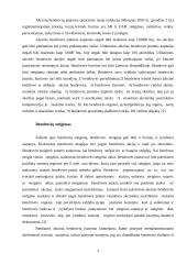 Akcinė bendrovė 2 puslapis