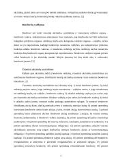 Akcinė bendrovė 3 puslapis