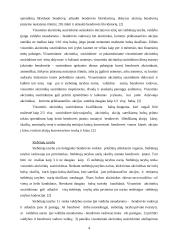 Akcinė bendrovė 4 puslapis