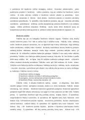 Akcinė bendrovė 5 puslapis