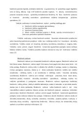 Akcinė bendrovė 6 puslapis