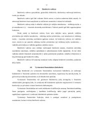 Akcinės bendrovės ir akcinių bendrovių veikla Lietuvoje 12 puslapis