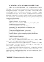 Akcinės bendrovės ir akcinių bendrovių veikla Lietuvoje 5 puslapis