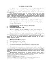 Akcinės bendrovės likvidavimas 3 puslapis