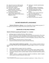 Akcinės bendrovės likvidavimas 5 puslapis