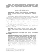 Akcinės bendrovės likvidavimas 6 puslapis