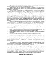 Akcinės bendrovės likvidavimas 7 puslapis