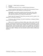 Akcinės bendrovės likvidavimas 9 puslapis