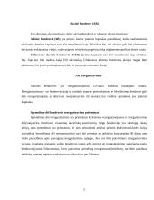 Akcinės bendrovės reorganizavimas 2 puslapis