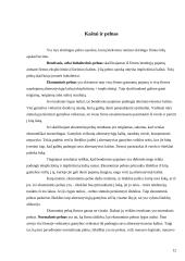 Akcinių bendrovių kapitalo formavimo šaltiniai 11 puslapis