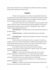 Akcinių bendrovių kapitalo formavimo šaltiniai 12 puslapis