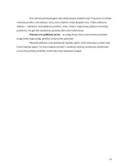 Akcinių bendrovių kapitalo formavimo šaltiniai 13 puslapis