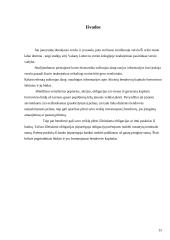 Akcinių bendrovių kapitalo formavimo šaltiniai 14 puslapis