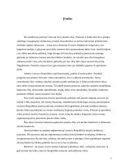 Akcinių bendrovių kapitalo formavimo šaltiniai 2 puslapis