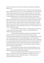 Akcinių bendrovių kapitalo formavimo šaltiniai 4 puslapis