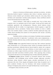 Akcinių bendrovių kapitalo formavimo šaltiniai 8 puslapis