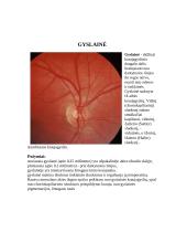 Akių sandara 12 puslapis