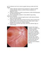 Akių sandara 14 puslapis