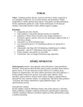 Akių sandara 16 puslapis