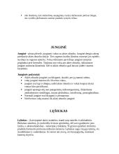 Akių sandara 9 puslapis