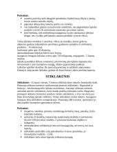 Akių sandara 10 puslapis