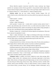 Aktyvinimas 13 puslapis