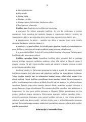 Aktyvinimas 18 puslapis