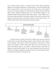 Aktyvinimas ir kontrolė kaip valdymo funkcija 4 puslapis