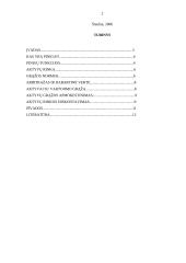 Aktyvų rinka 2 puslapis