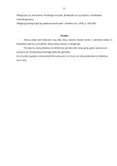 Aktyvų rinka 11 puslapis