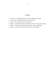 Aktyvų rinka 12 puslapis