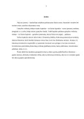 Aktyvų rinka 3 puslapis