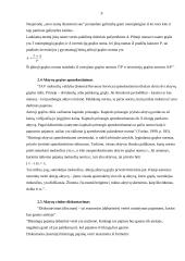 Aktyvų rinka 9 puslapis