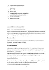 Aliuminio profiliniai gaminiai 5 puslapis