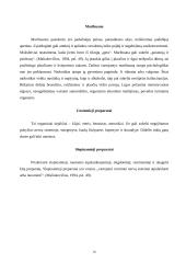 Alkoholis, rūkymas, narkotikai 10 puslapis